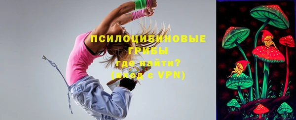 спайс Алзамай