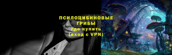 спайс Алзамай