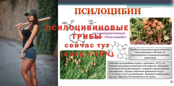 спайс Алзамай