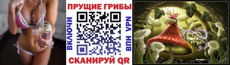 Галлюциногенные грибы Cubensis  Лаишево 