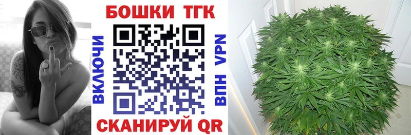 продажа наркотиков  Лаишево  Канабис Amnesia 